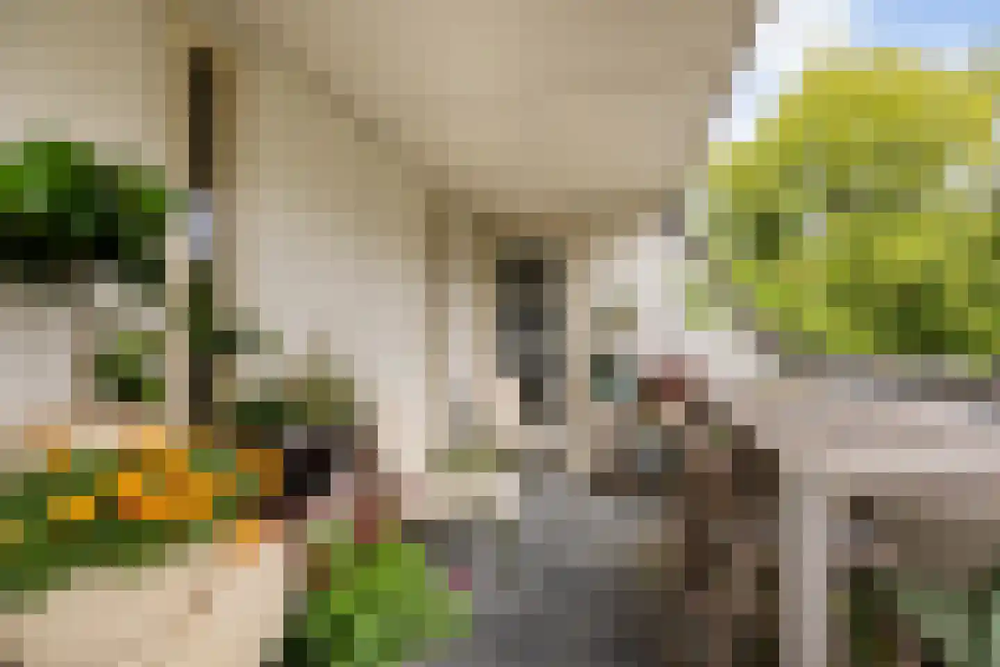 Utrechtseweg 165 l Oosterbeek thumbnail 21