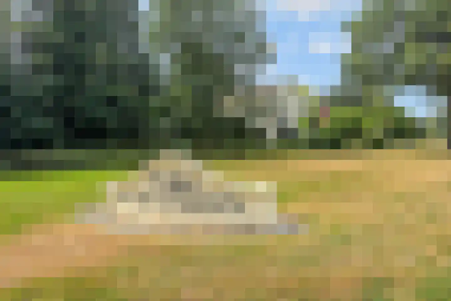 Utrechtseweg 165 l Oosterbeek thumbnail 41