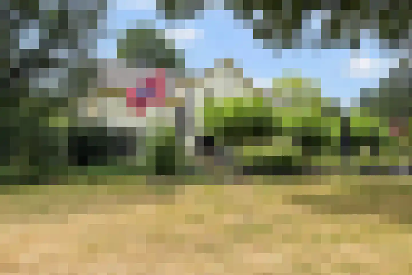 Utrechtseweg 165 l Oosterbeek thumbnail 42