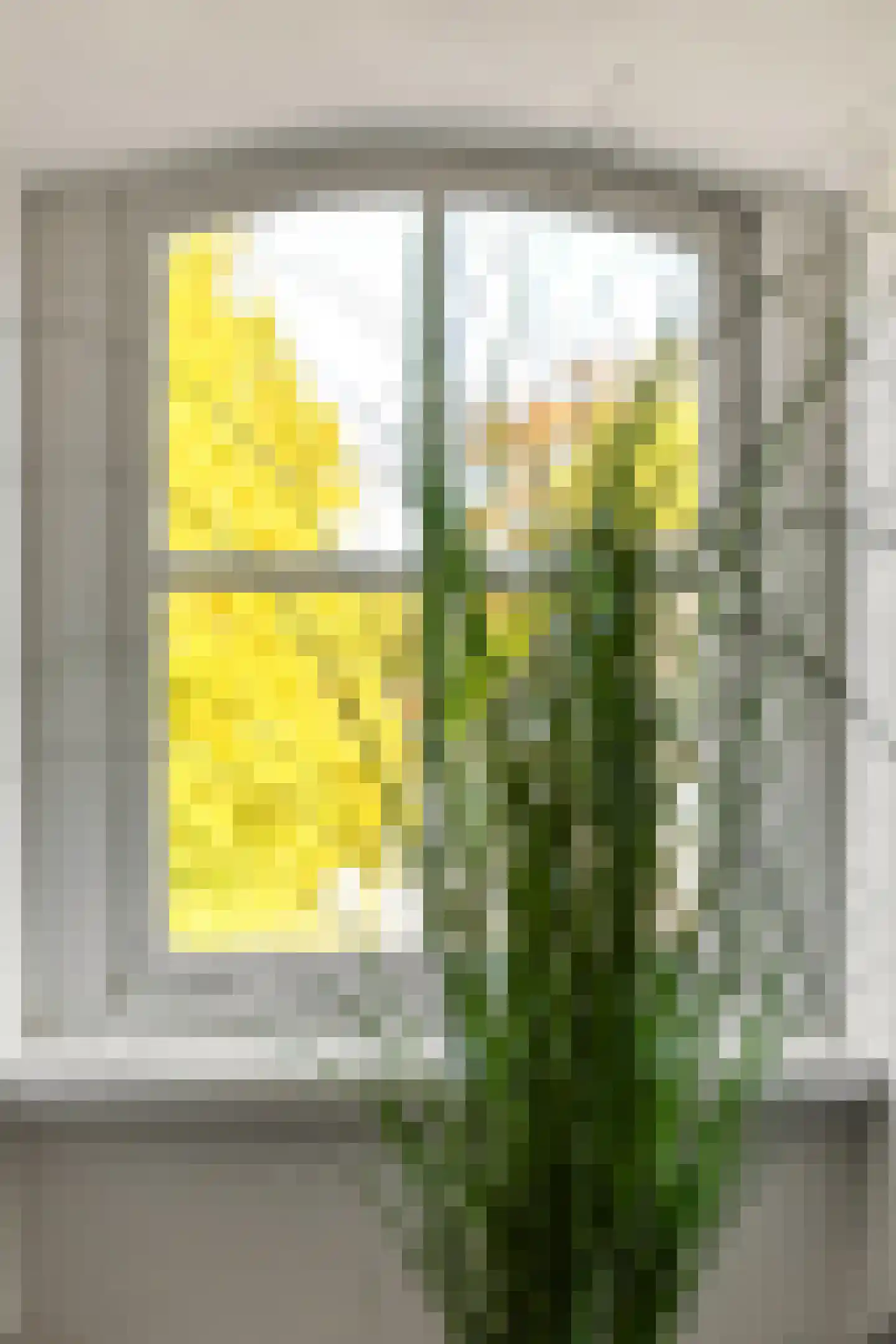 Utrechtseweg 206 B Oosterbeek thumbnail 28