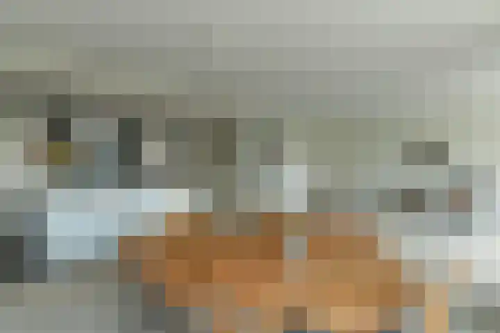 Utrechtseweg 227 2 Arnhem thumbnail 4