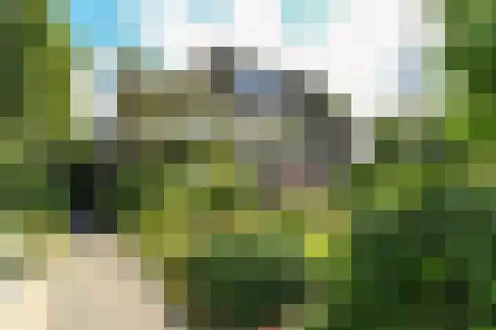 Utrechtseweg 227 2 Arnhem thumbnail 6