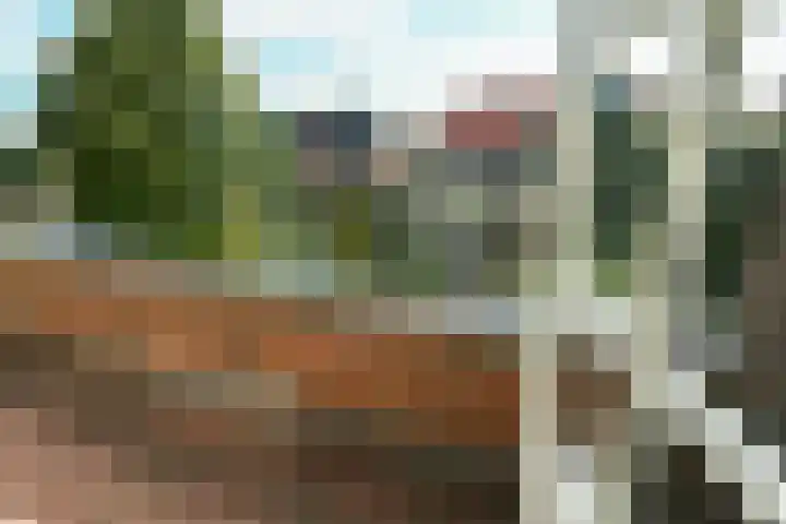 Utrechtseweg 251 Arnhem thumbnail 29