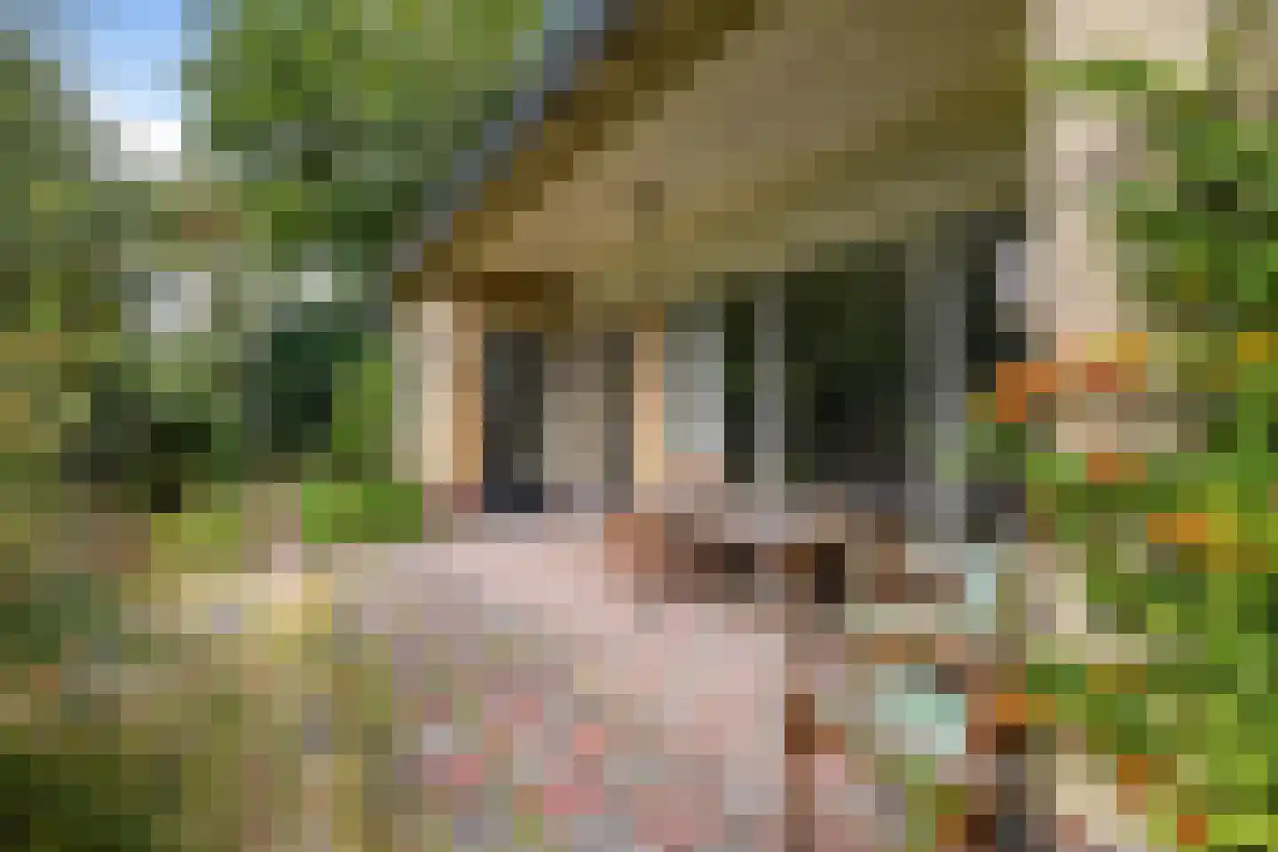 Utrechtseweg 27 Heelsum thumbnail 24