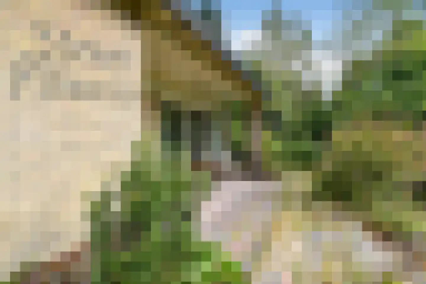 Utrechtseweg 27 Heelsum thumbnail 25