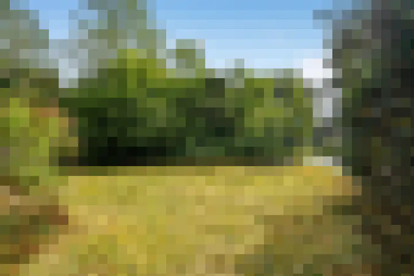 Utrechtseweg 27 Heelsum thumbnail 26