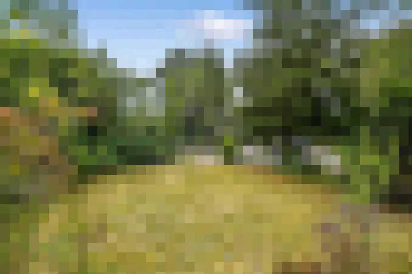 Utrechtseweg 27 Heelsum thumbnail 27