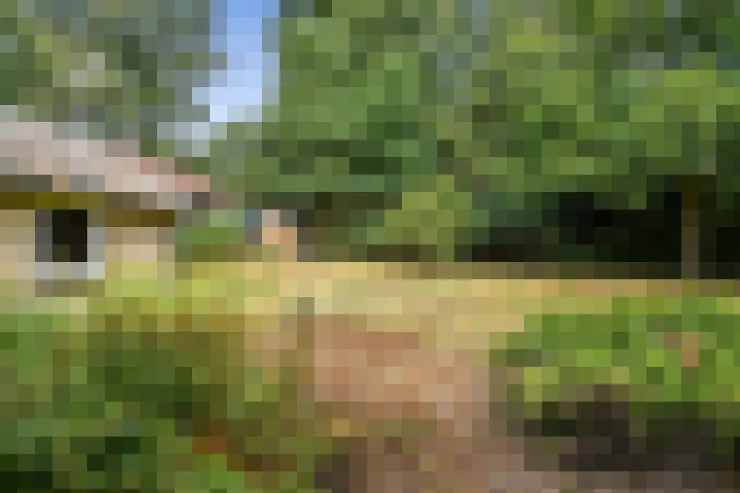 Utrechtseweg 27 Heelsum thumbnail 30