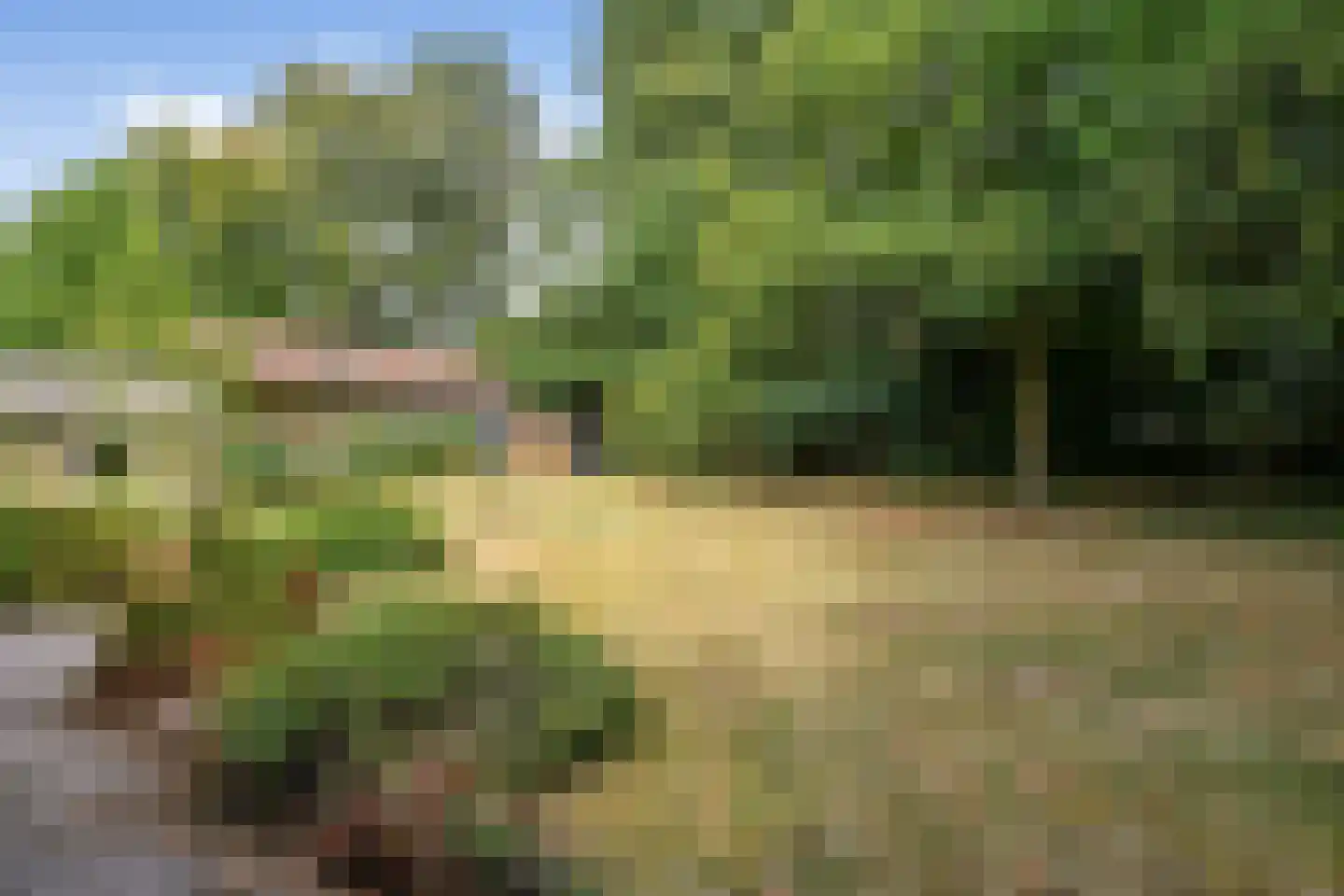 Utrechtseweg 27 Heelsum thumbnail 34