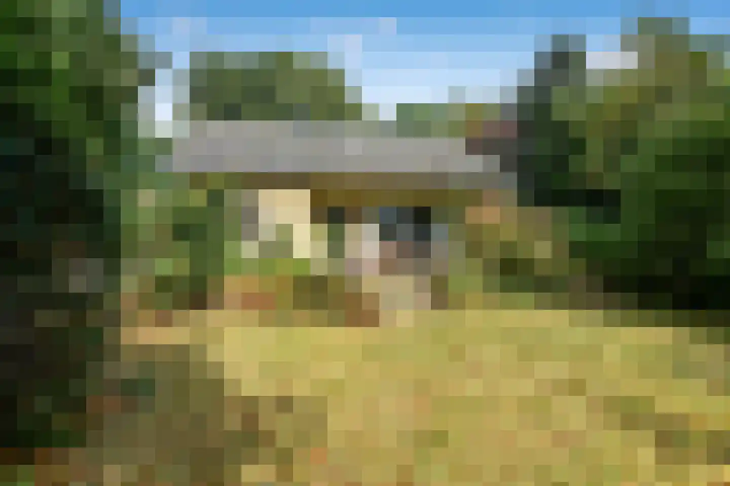 Utrechtseweg 27 Heelsum thumbnail 35