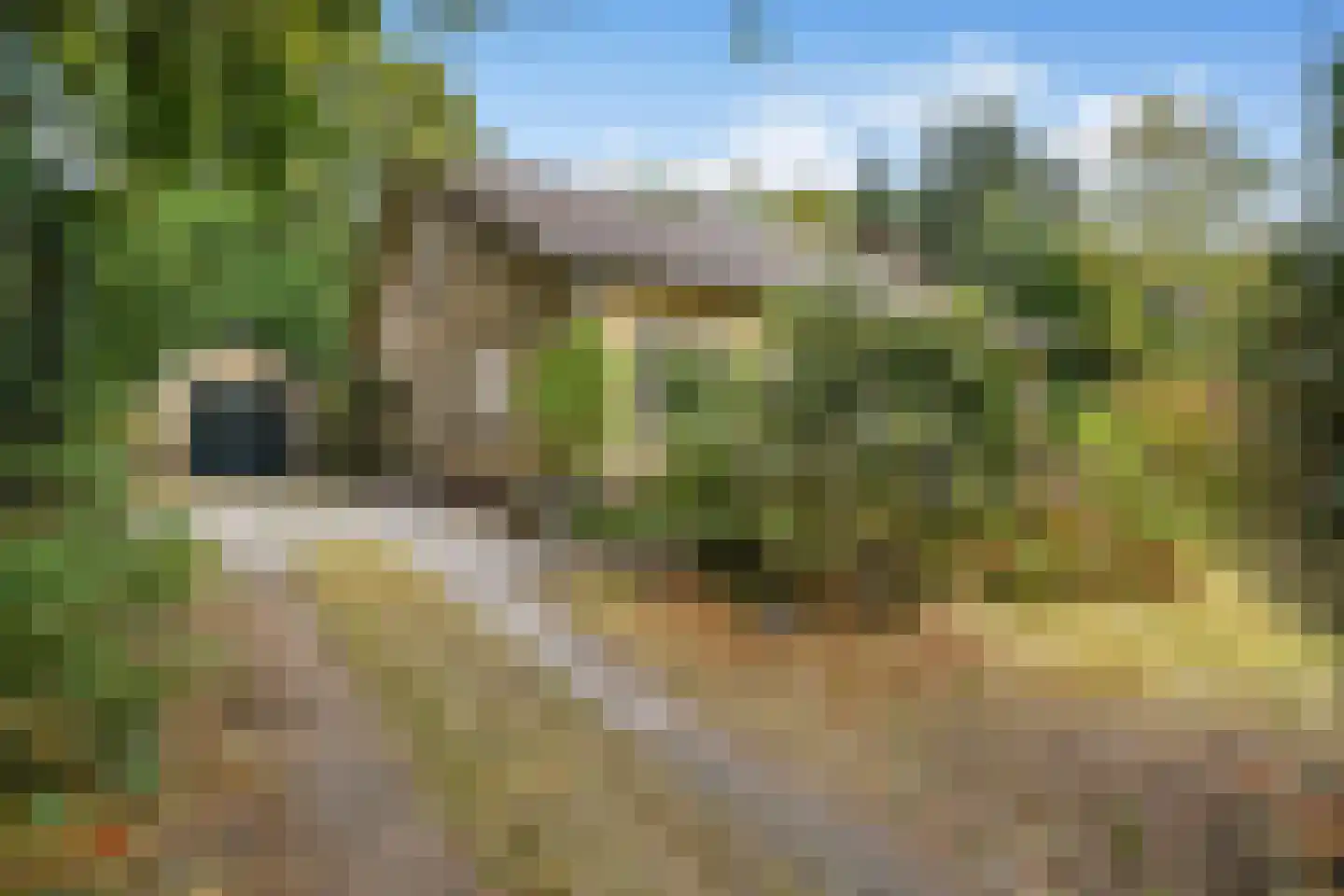 Utrechtseweg 27 Heelsum thumbnail 5