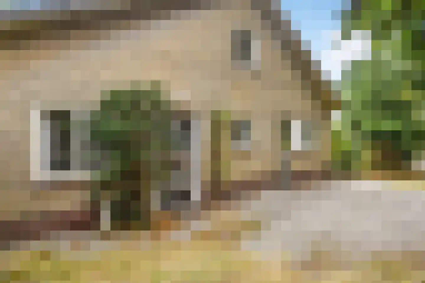 Utrechtseweg 27 Heelsum thumbnail 6