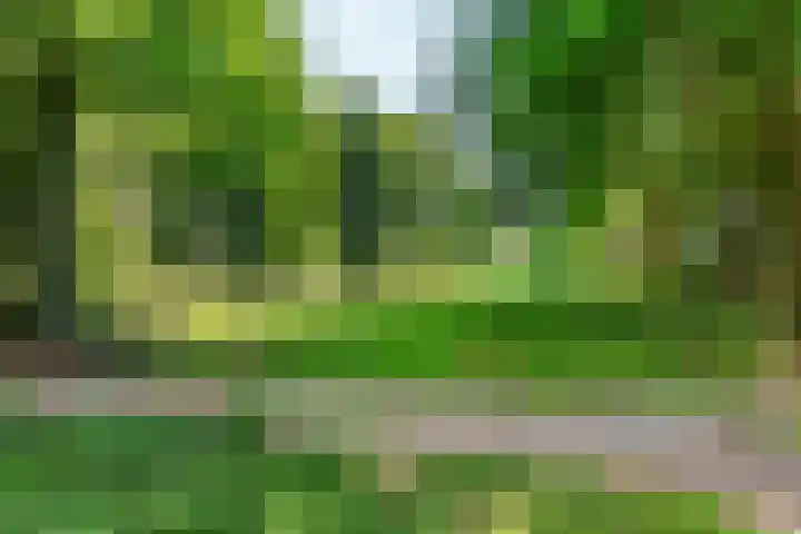 Utrechtseweg 30 Oosterbeek thumbnail 69