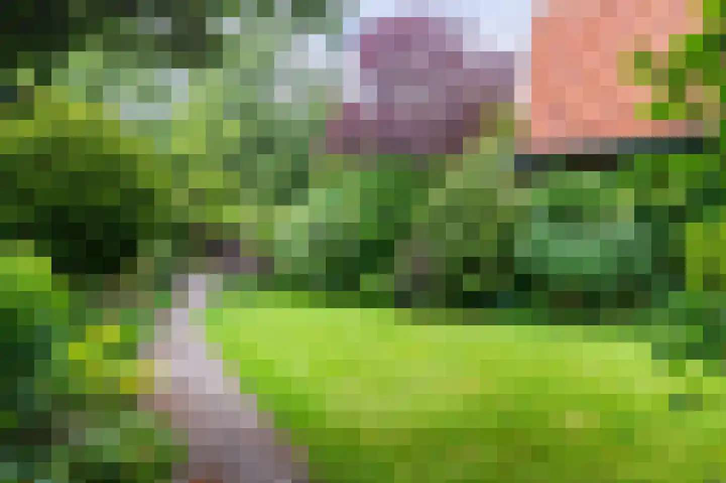 Utrechtseweg 320 De Bilt thumbnail 36