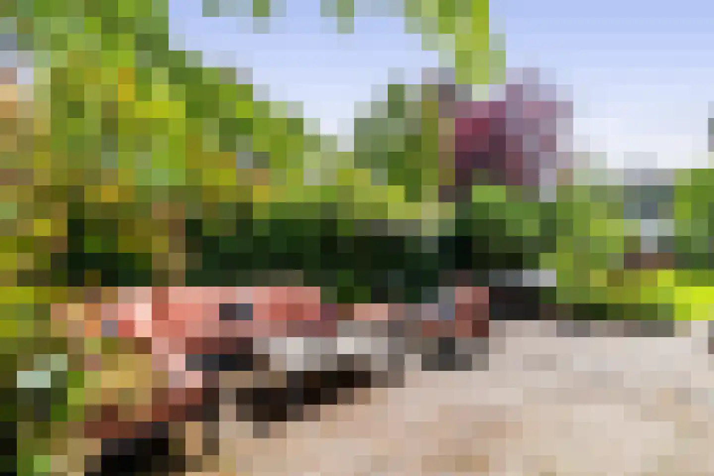 Utrechtseweg 320 De Bilt thumbnail 42