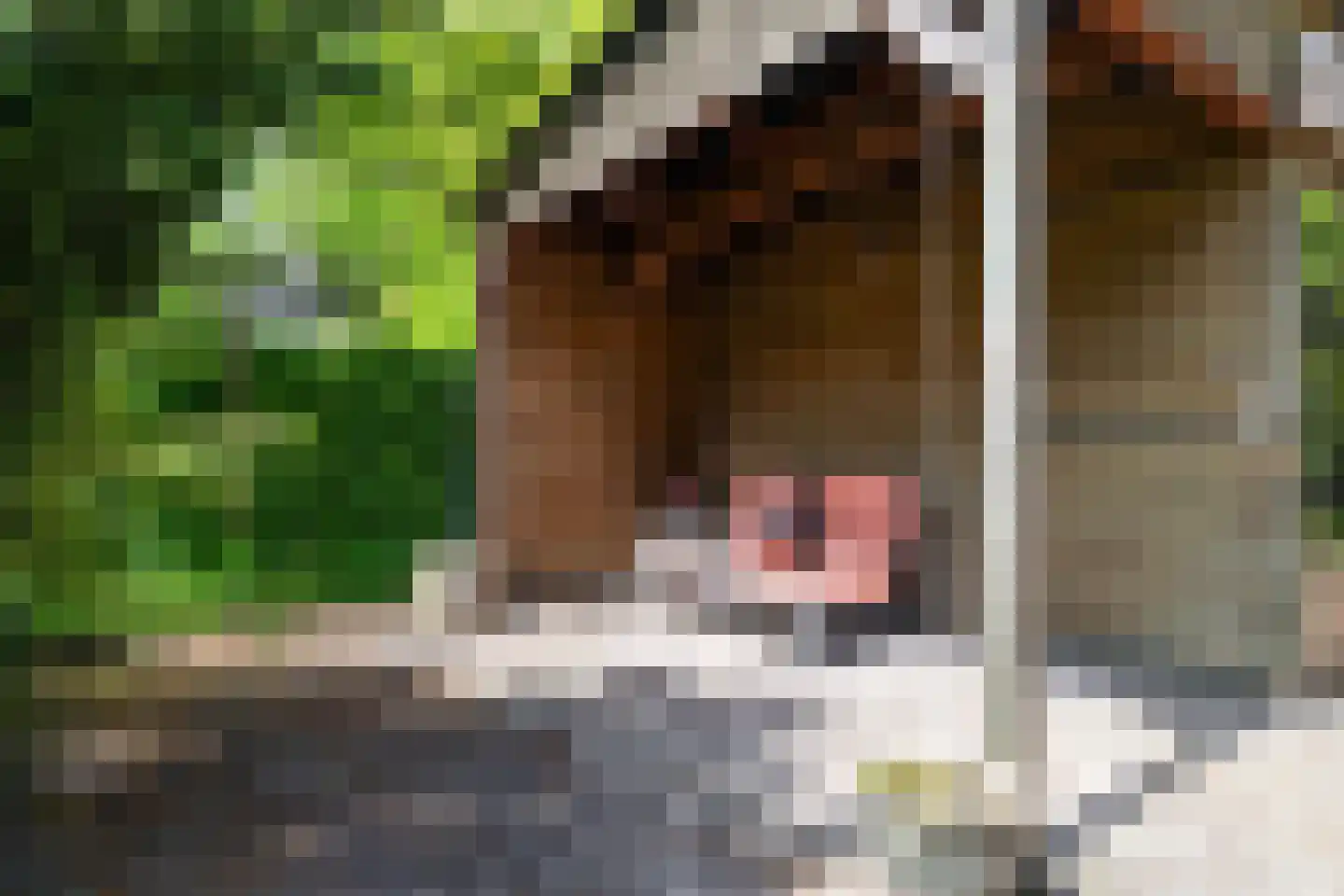 Utrechtseweg 320 De Bilt thumbnail 43