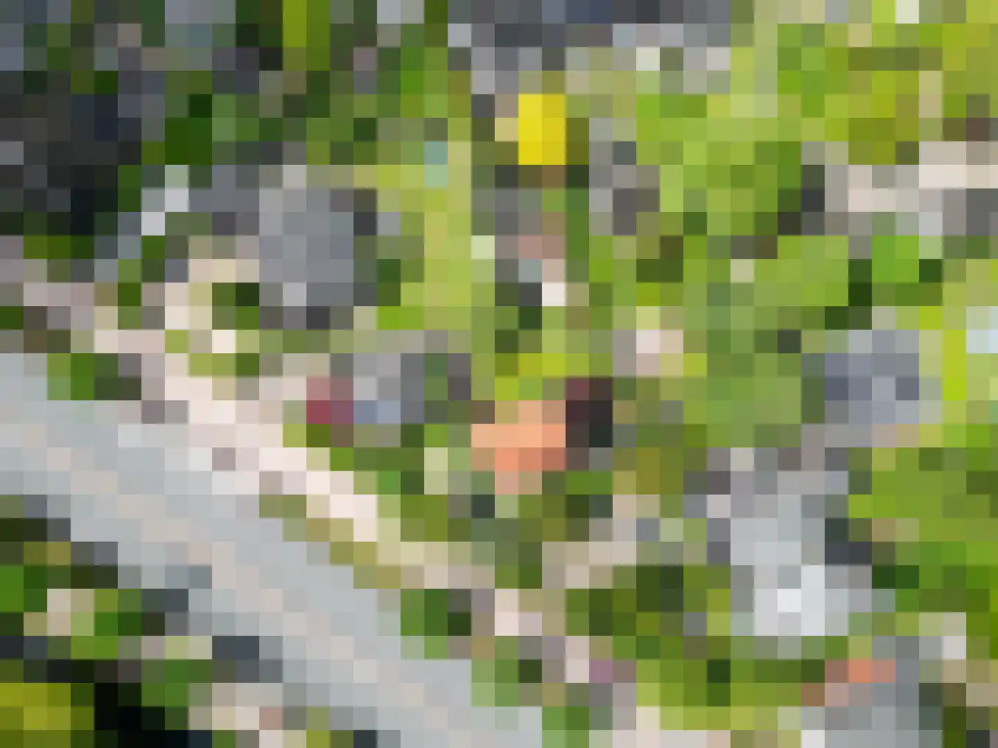 Utrechtseweg 320 De Bilt thumbnail 58