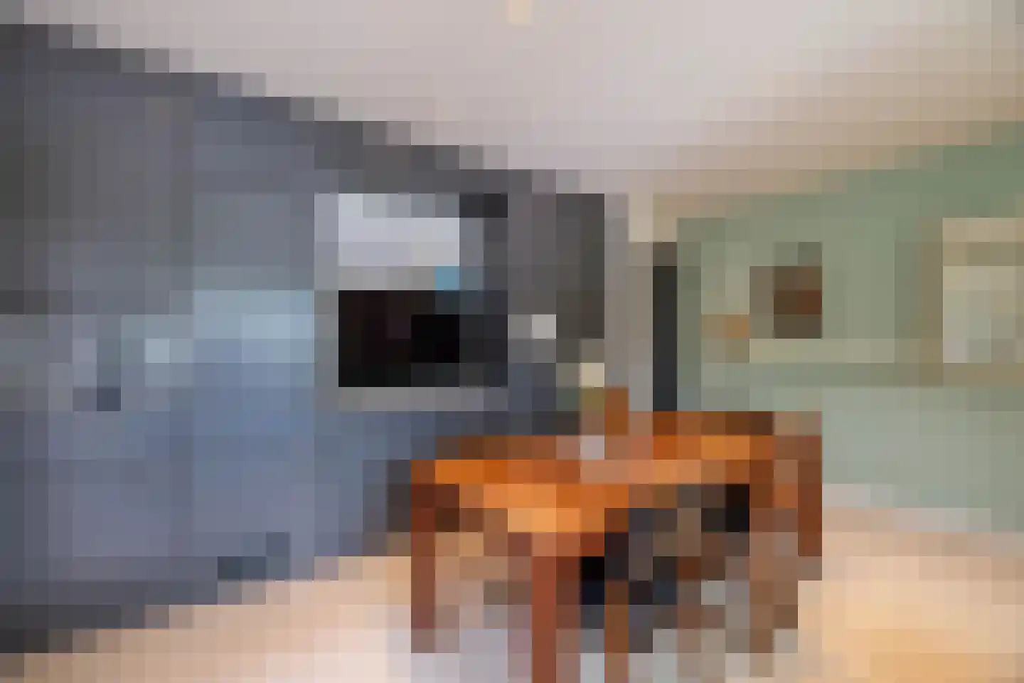 Utrechtseweg 323 De Bilt thumbnail 12