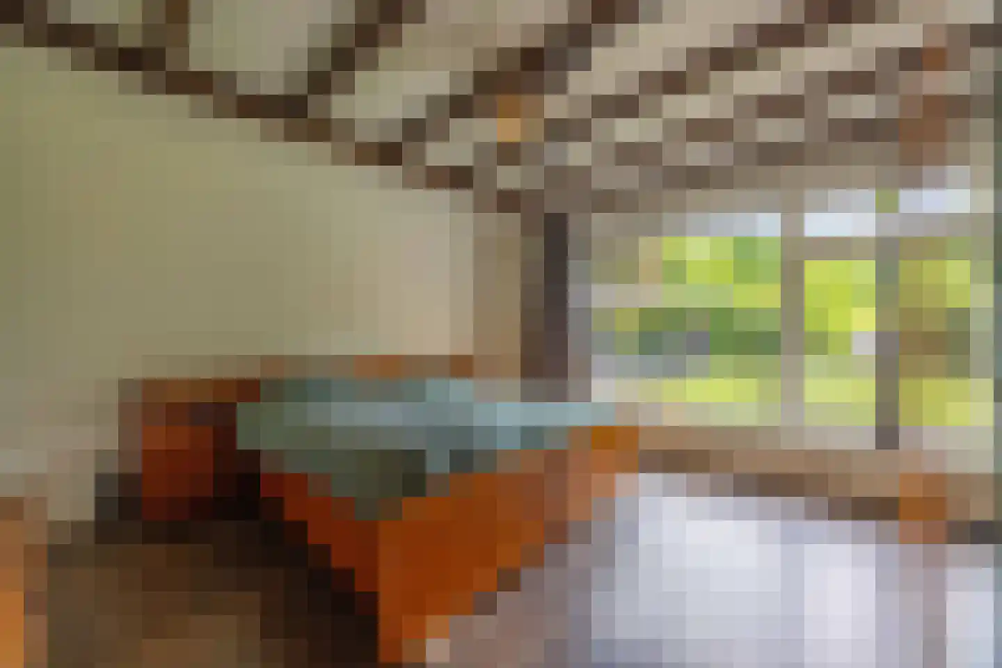 Utrechtseweg 323 De Bilt thumbnail 20