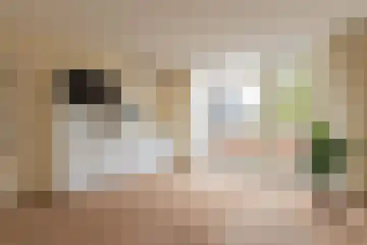 Utrechtseweg 334 De Bilt thumbnail 30