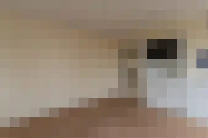 Utrechtseweg 334 De Bilt thumbnail 31