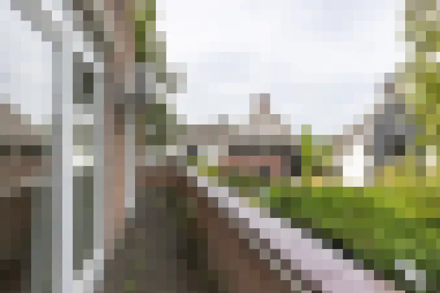 Utrechtseweg 334 De Bilt thumbnail 32