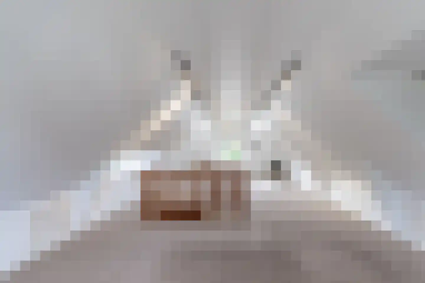 Utrechtseweg 334 De Bilt thumbnail 38