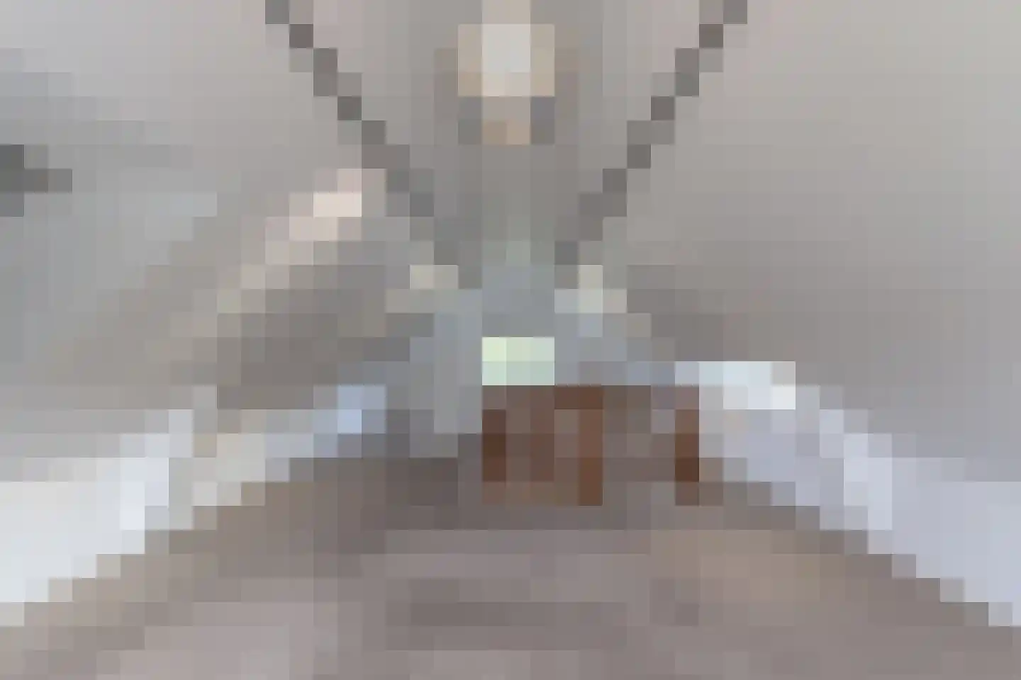 Utrechtseweg 334 De Bilt thumbnail 39