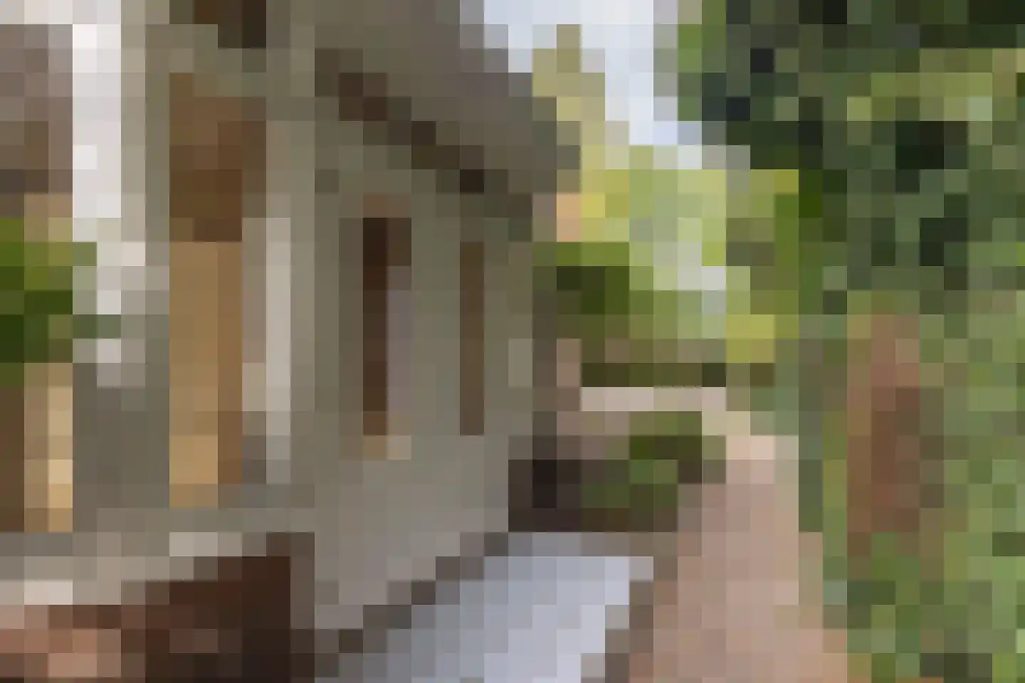 Utrechtseweg 334 De Bilt thumbnail 40