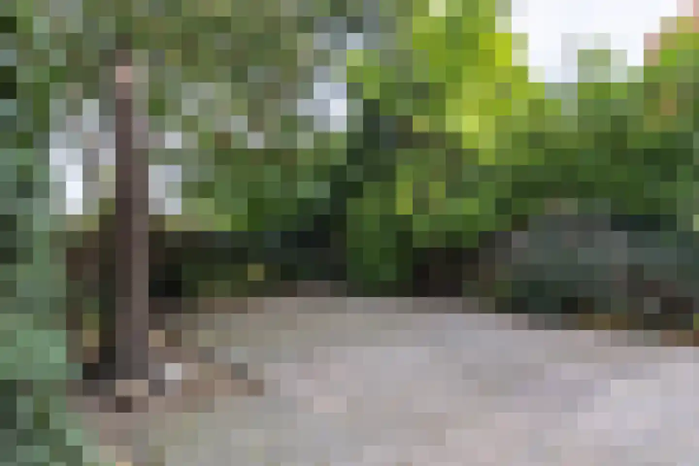Utrechtseweg 334 De Bilt thumbnail 43