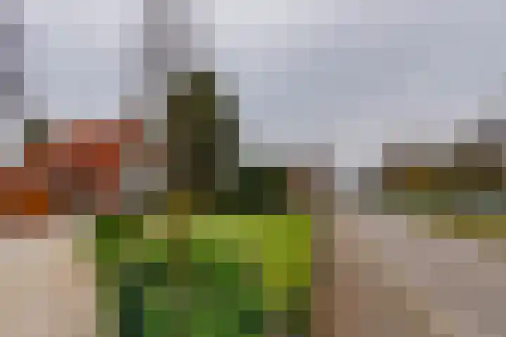 Utrechtseweg 334 De Bilt thumbnail 5