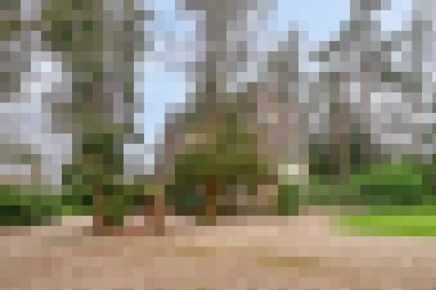 Utrechtseweg 337 Amersfoort thumbnail 7