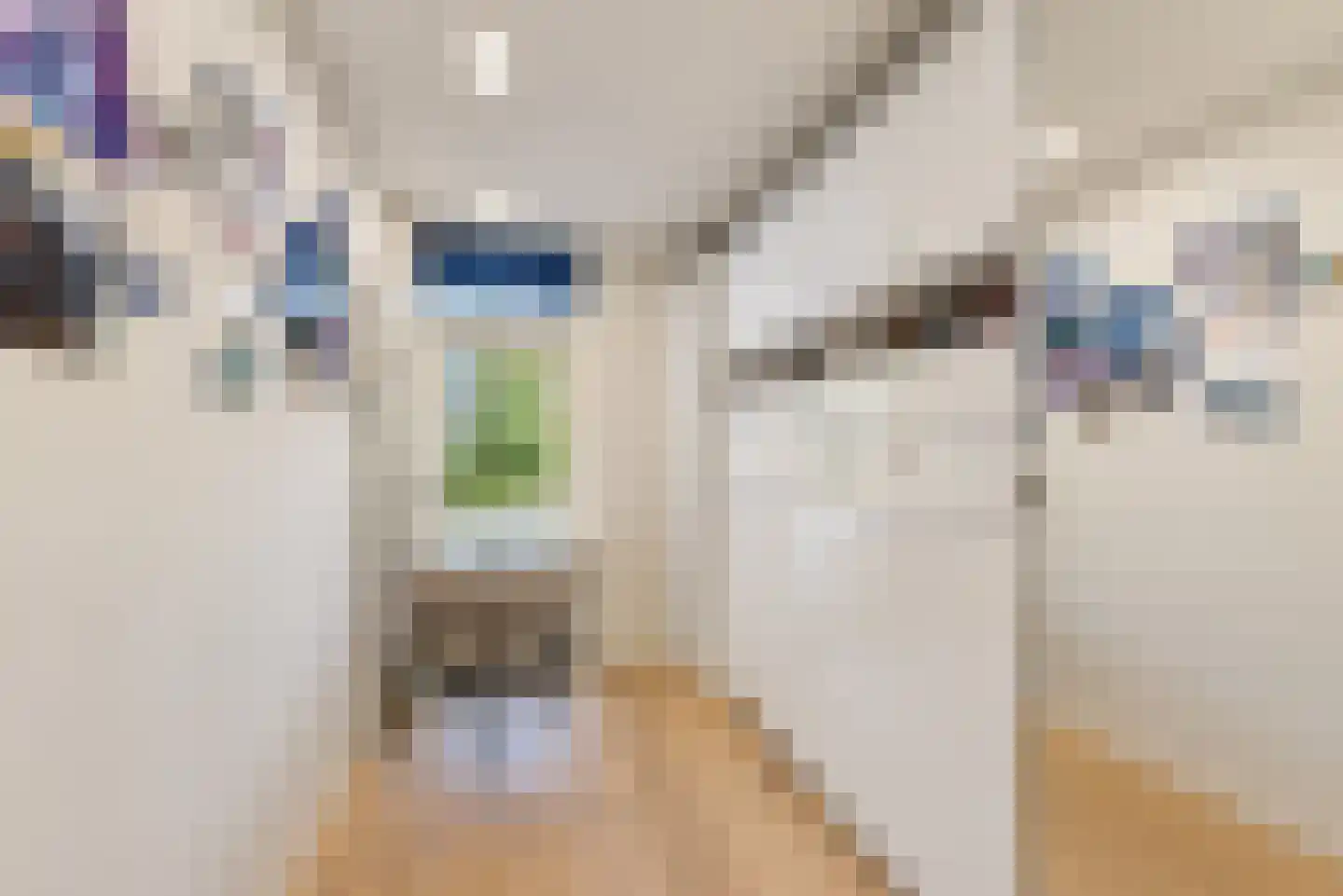 Utrechtseweg 34 K Hilversum thumbnail 27