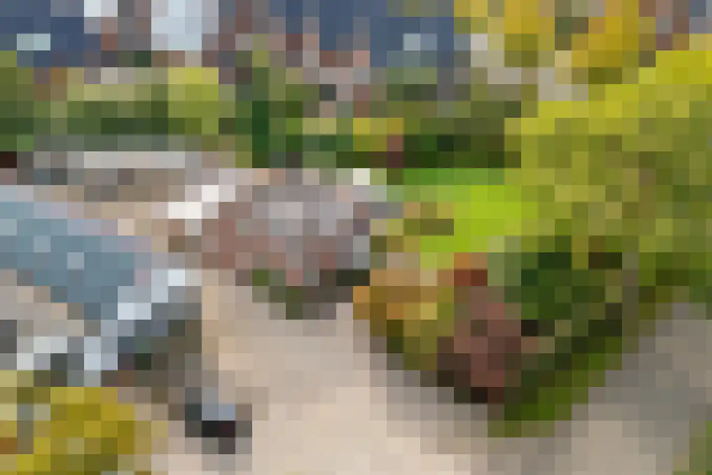 Utrechtseweg 37 Utrecht thumbnail 41