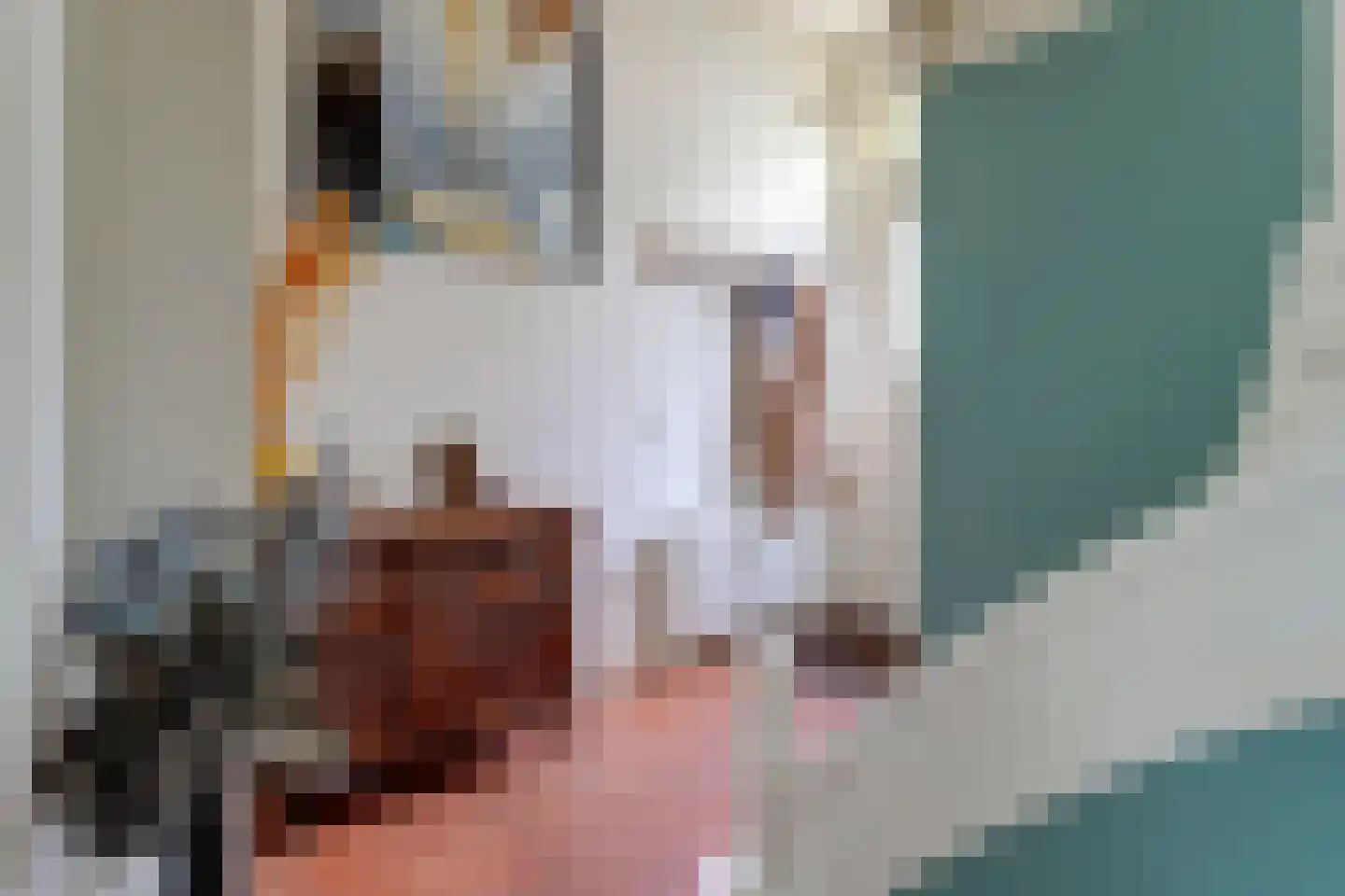 Utrechtseweg 37 Utrecht thumbnail 5