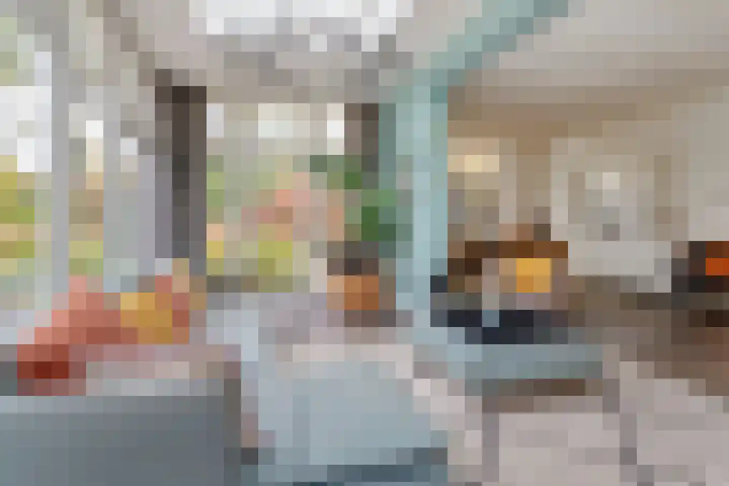 Utrechtseweg 37 Utrecht thumbnail 9