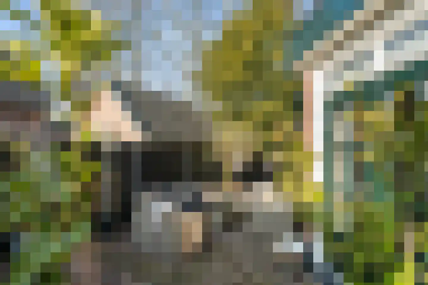 Utrechtseweg 38 Heelsum thumbnail 20