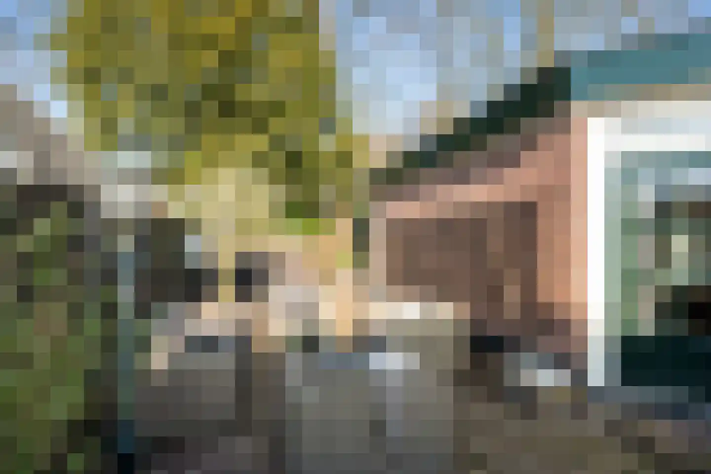 Utrechtseweg 38 Heelsum thumbnail 21