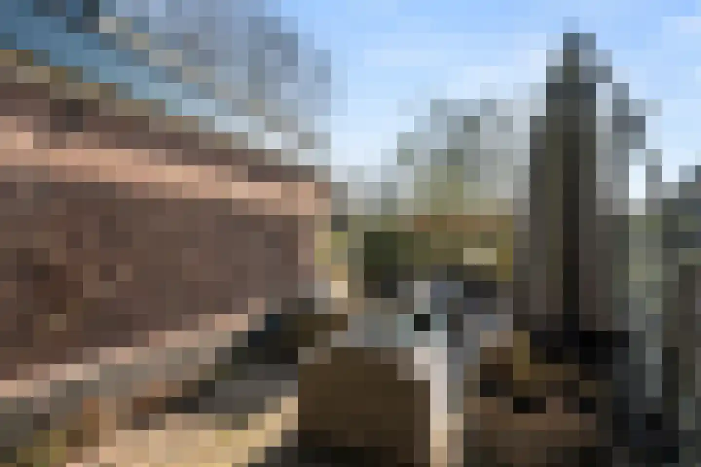 Utrechtseweg 38 Heelsum thumbnail 23