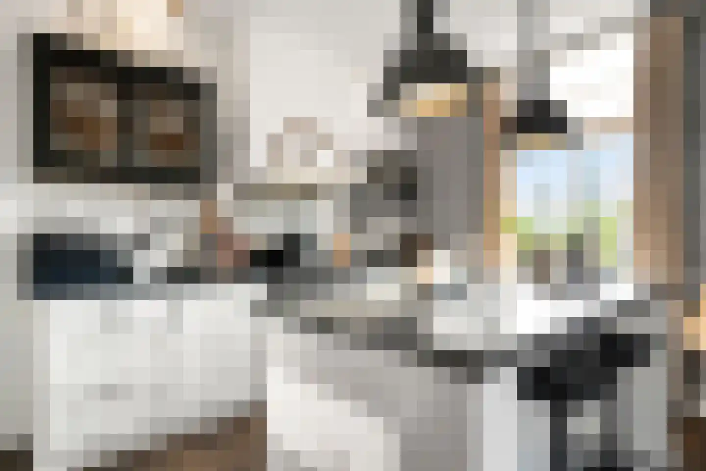 Utrechtseweg 38 Heelsum thumbnail 39