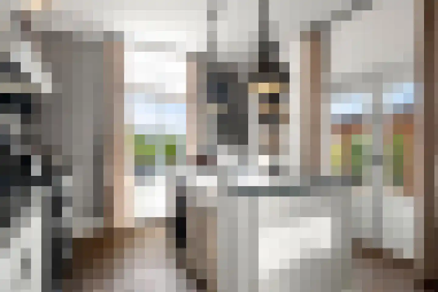 Utrechtseweg 38 Heelsum thumbnail 40
