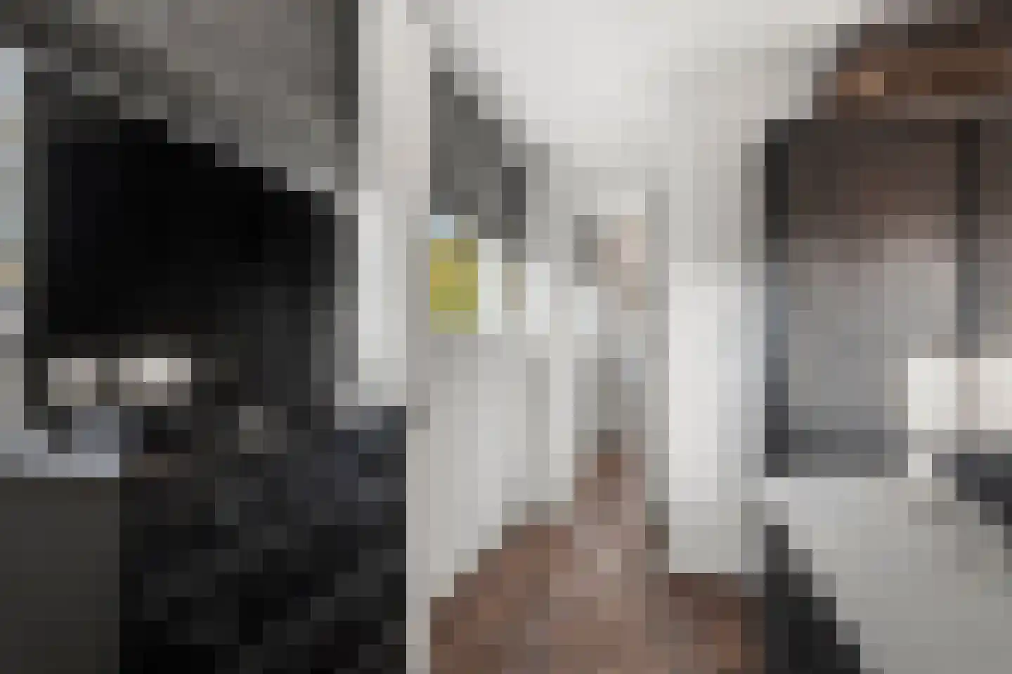 Utrechtseweg 38 Heelsum thumbnail 47