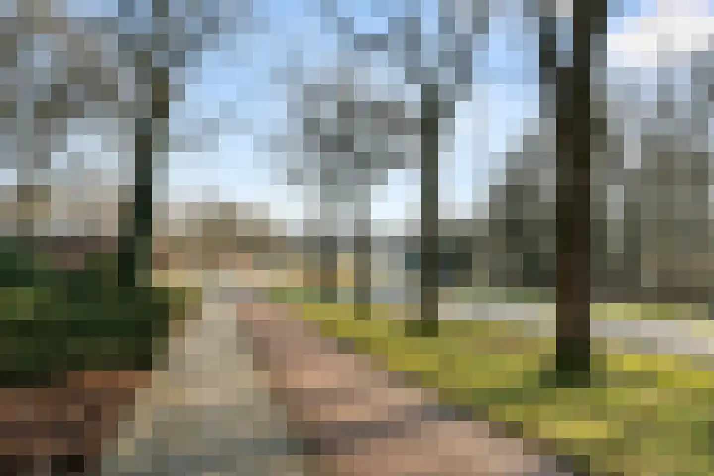 Utrechtseweg 38 Heelsum thumbnail 9
