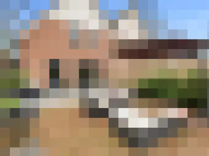 Utrechtseweg 39 A Heelsum thumbnail 42