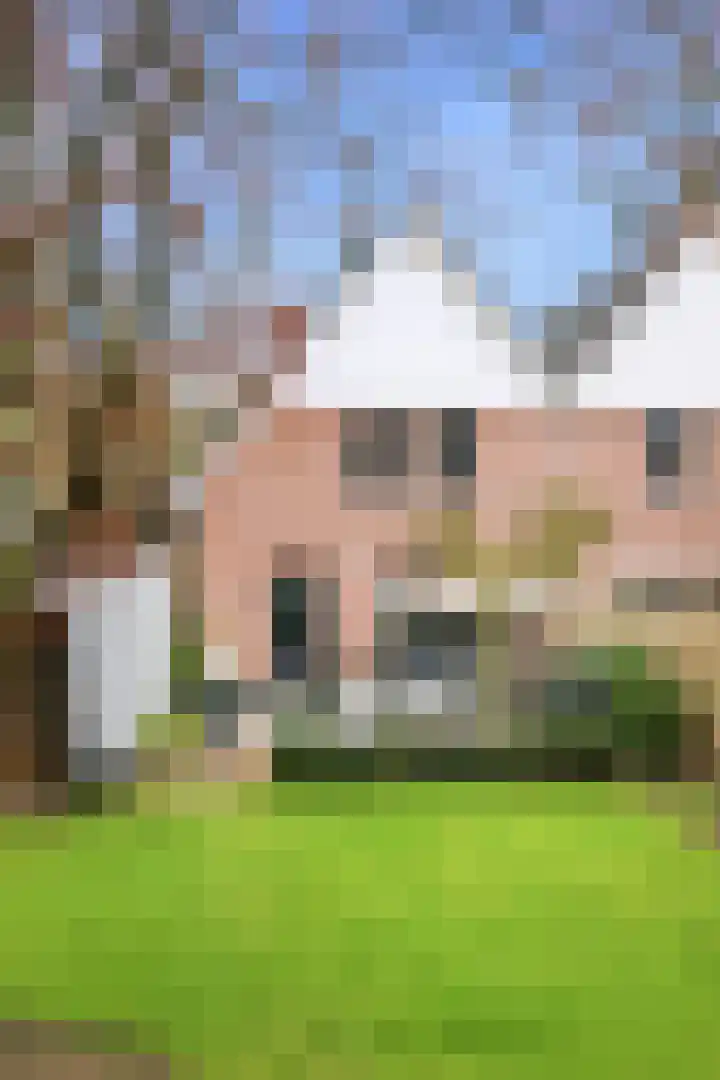 Utrechtseweg 39 A Heelsum thumbnail 56