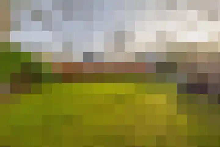 Utrechtseweg 41 Heelsum thumbnail 11