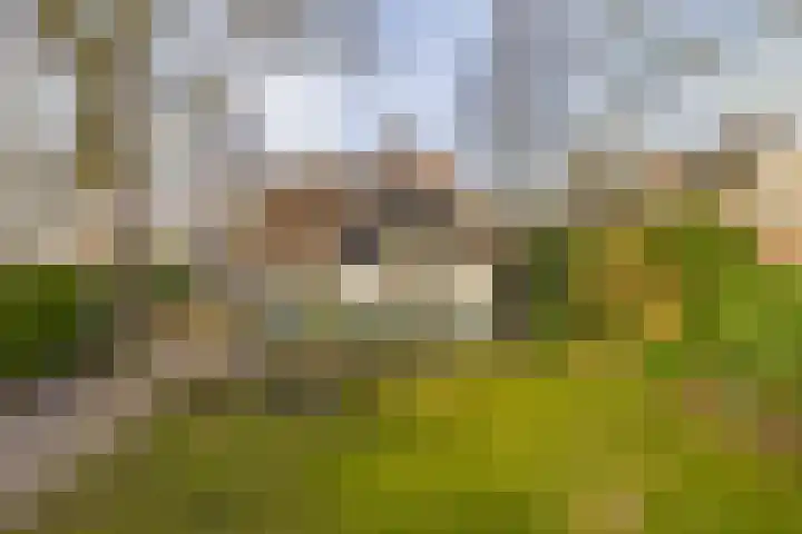 Utrechtseweg 41 Heelsum thumbnail 4