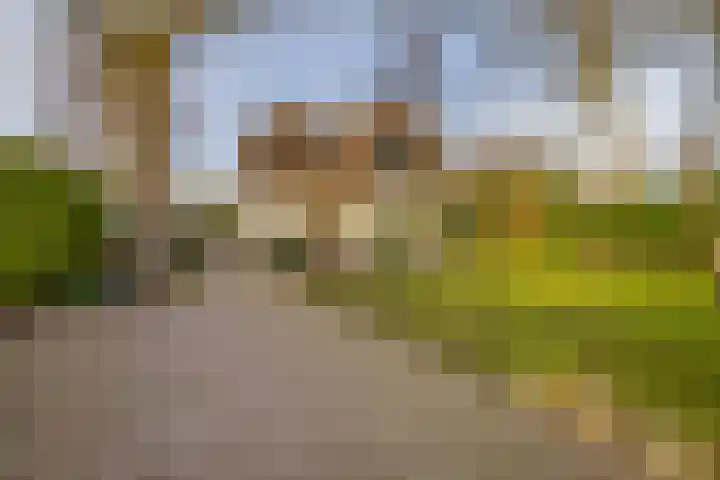Utrechtseweg 41 Heelsum thumbnail 5