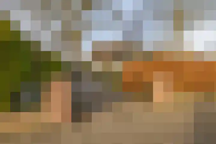 Utrechtseweg 41 Heelsum thumbnail 6