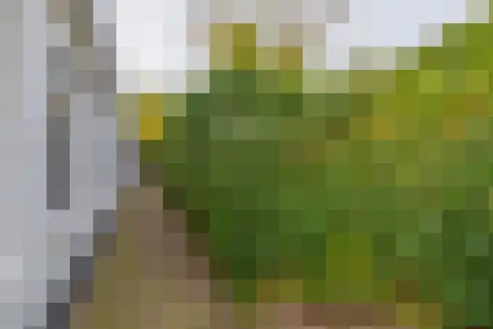 Utrechtseweg 41 Heelsum thumbnail 66